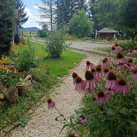 Siedlisko Nad Stawem *