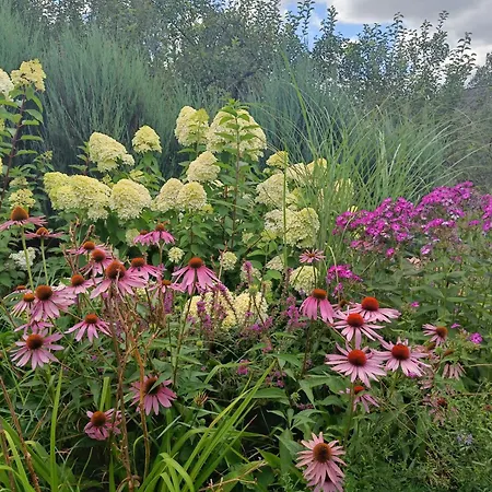 Siedlisko Nad Stawem *