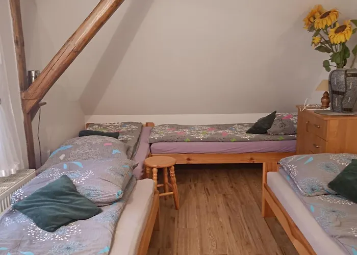 Siedlisko Nad Stawem Farmház Nowa Wieś