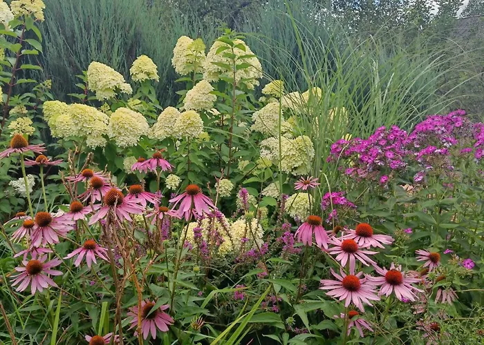 Siedlisko Nad Stawem *